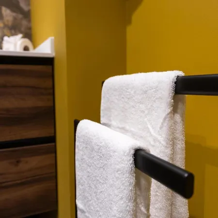 情趣酒店 Mayor Fantasiii