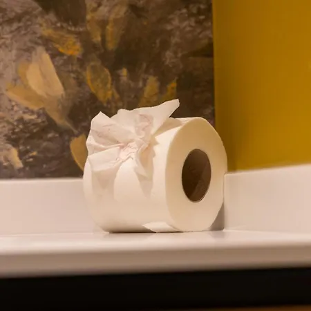 Mayor Fantasiii 情趣酒店 贝哈尔